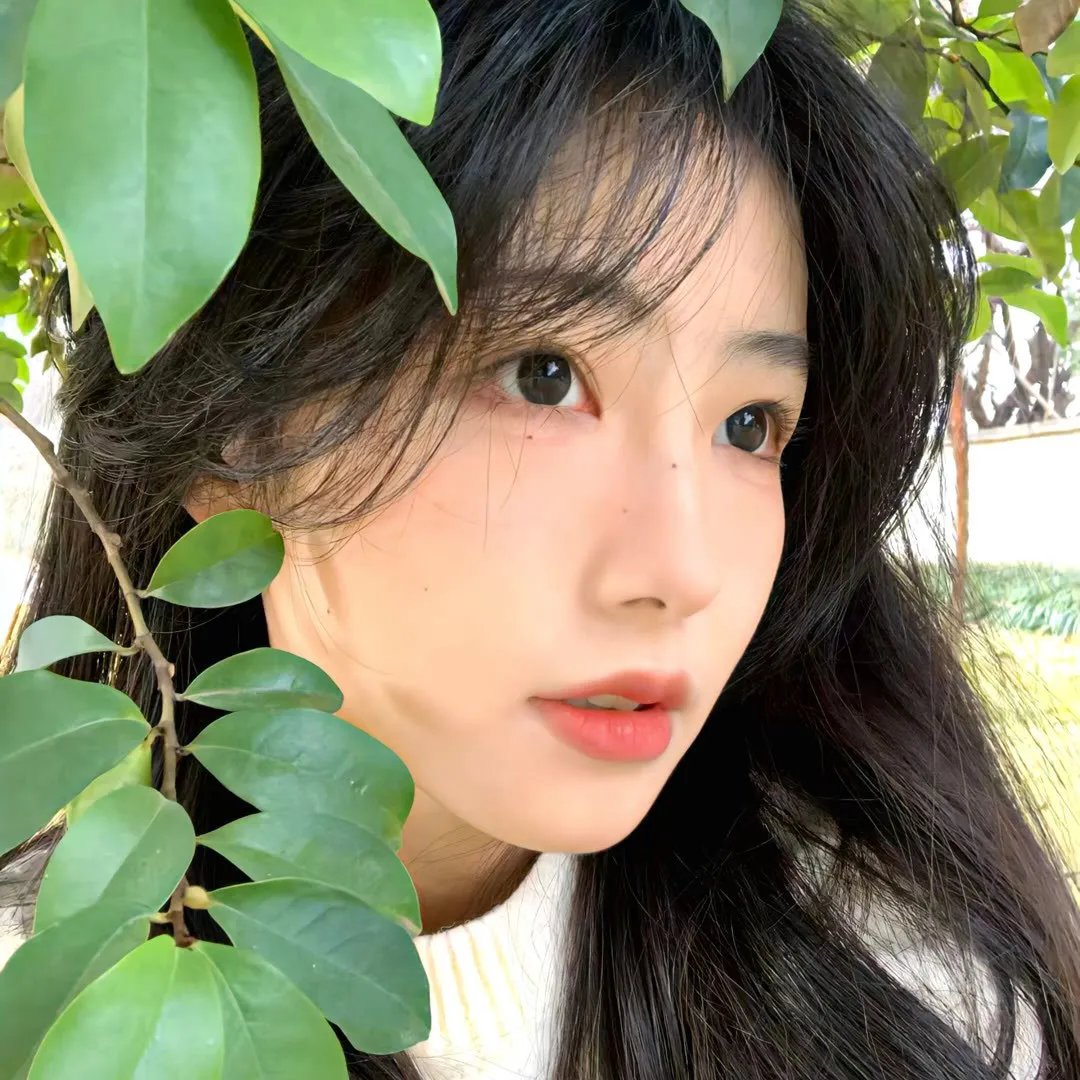 探险家